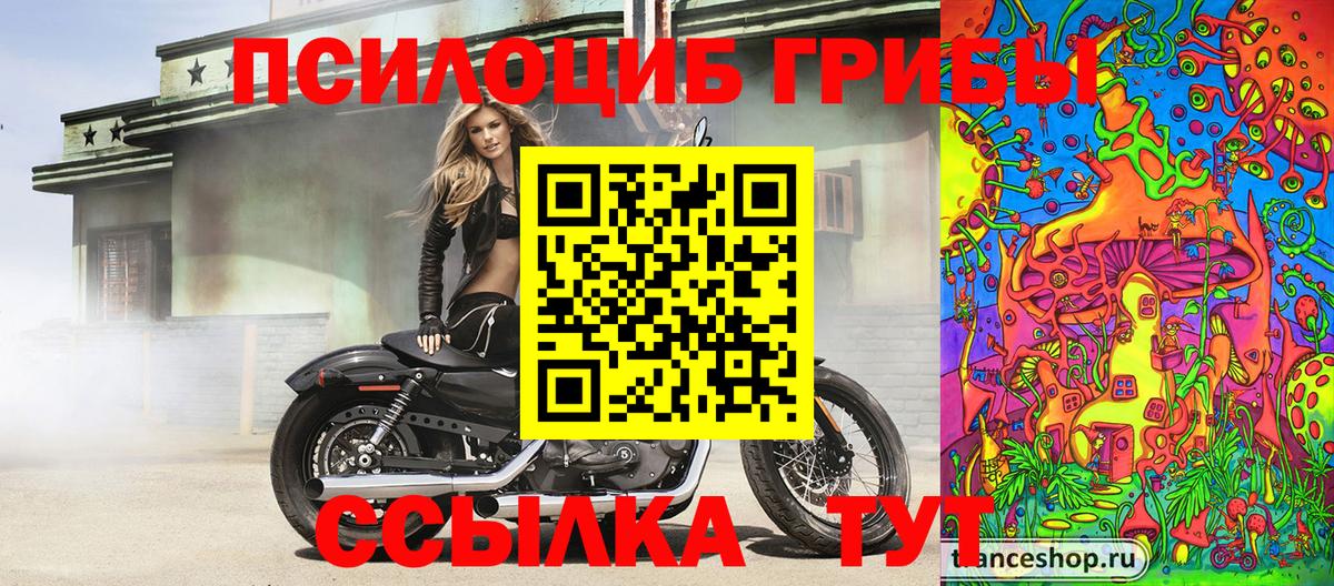 Зеленогорск  Псилоцибиновые грибы мицелий  Вход с VPN 
