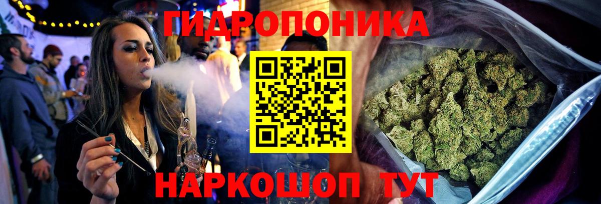 Канабис VHQ  МАРИХУАНА White Widow  Канабис планчик  Зеленогорск  Вход с VPN 